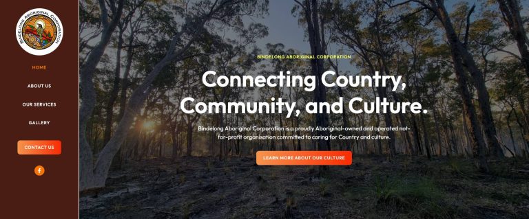 WordPress Websites - wordpress websites