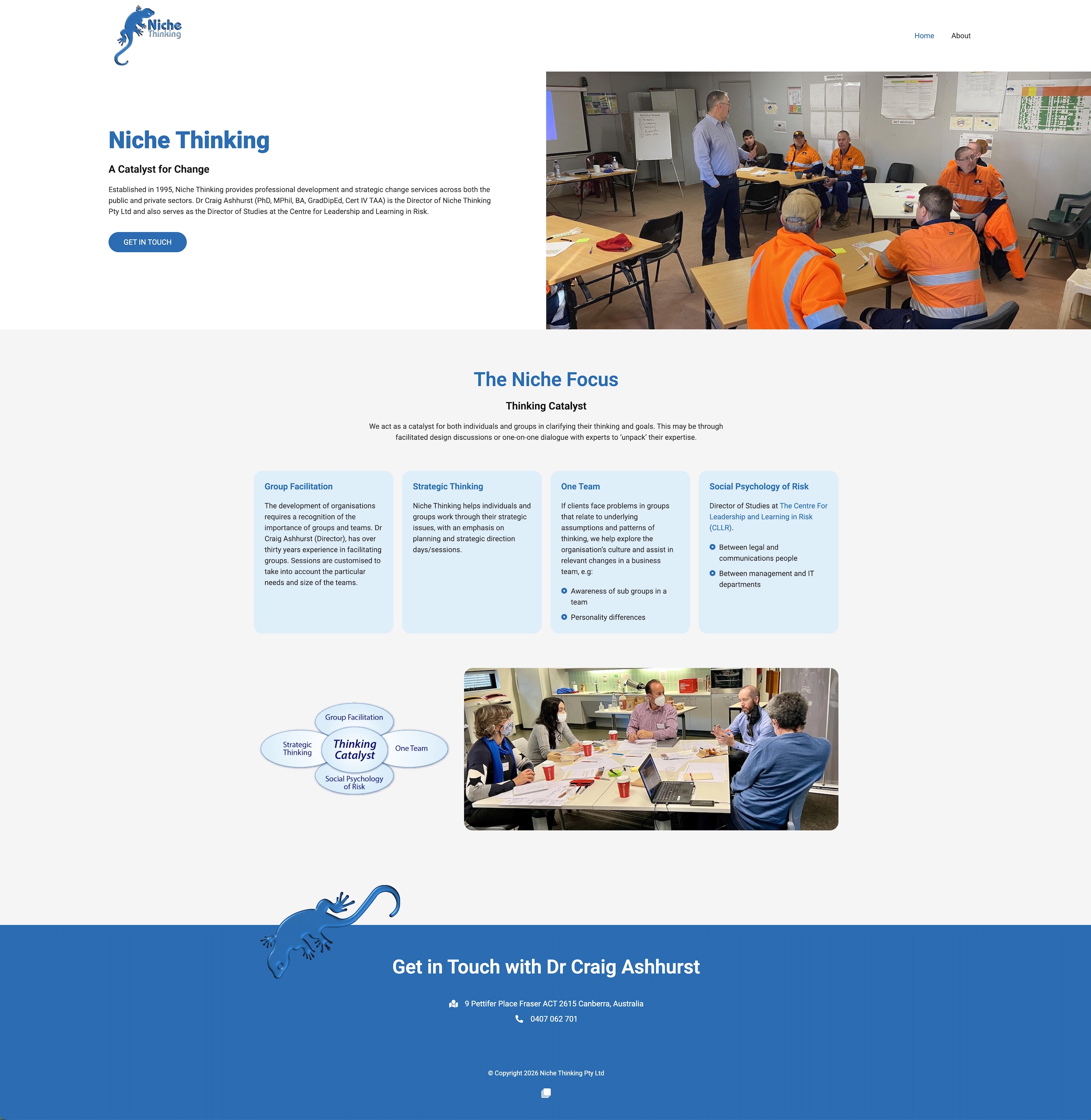 Niche thinking full website